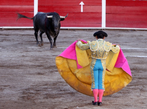 Catalonia Bans Bullfighting Popular Fidelity Unusual Stuff