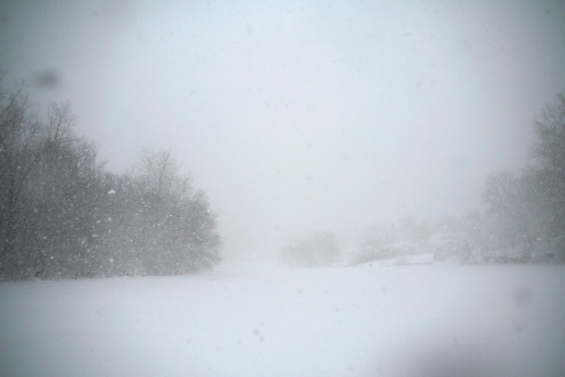 white out blizzard conditions
